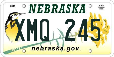 NE license plate XMQ245