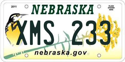 NE license plate XMS233