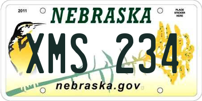 NE license plate XMS234