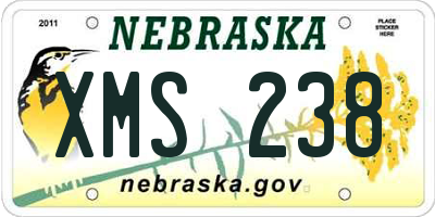 NE license plate XMS238