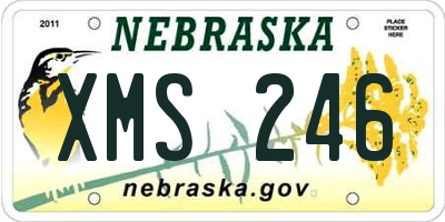 NE license plate XMS246