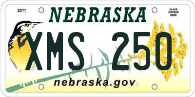 NE license plate XMS250
