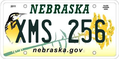 NE license plate XMS256