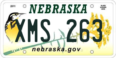 NE license plate XMS263