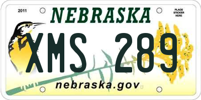 NE license plate XMS289