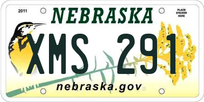 NE license plate XMS291