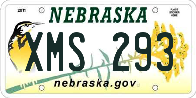 NE license plate XMS293