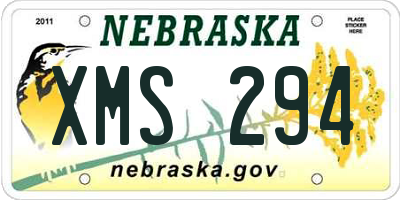 NE license plate XMS294