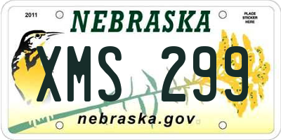 NE license plate XMS299