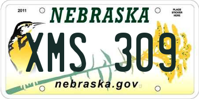 NE license plate XMS309