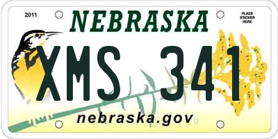 NE license plate XMS341