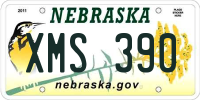 NE license plate XMS390