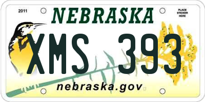 NE license plate XMS393