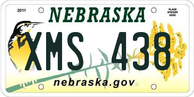 NE license plate XMS438