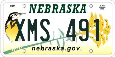 NE license plate XMS491