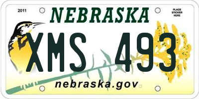 NE license plate XMS493