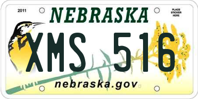 NE license plate XMS516