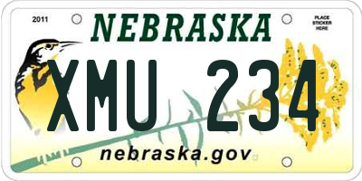NE license plate XMU234