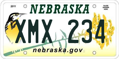 NE license plate XMX234