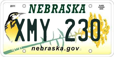NE license plate XMY230