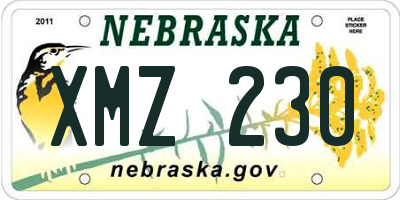 NE license plate XMZ230