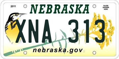 NE license plate XNA313