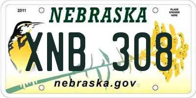 NE license plate XNB308