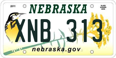 NE license plate XNB313