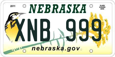NE license plate XNB999