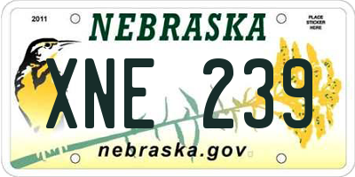 NE license plate XNE239