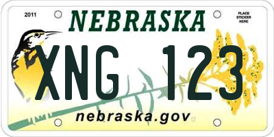 NE license plate XNG123