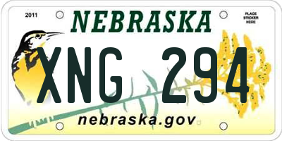 NE license plate XNG294