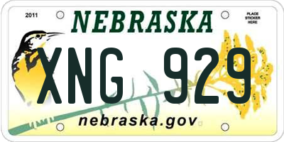 NE license plate XNG929