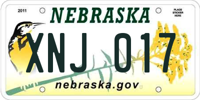 NE license plate XNJ017