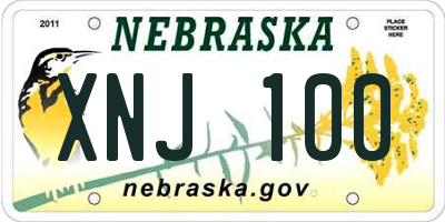NE license plate XNJ100
