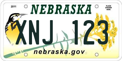 NE license plate XNJ123