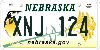 NE license plate XNJ124