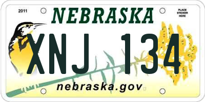 NE license plate XNJ134