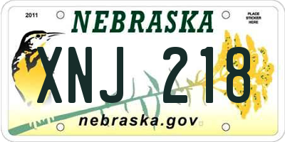 NE license plate XNJ218