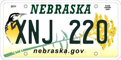 NE license plate XNJ220