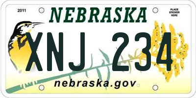 NE license plate XNJ234