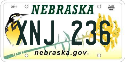 NE license plate XNJ236