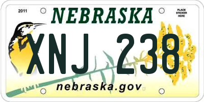 NE license plate XNJ238