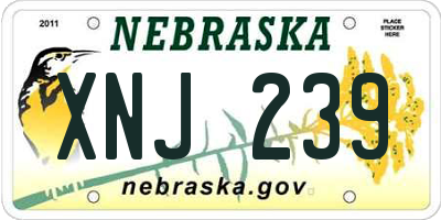 NE license plate XNJ239