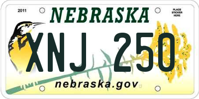 NE license plate XNJ250