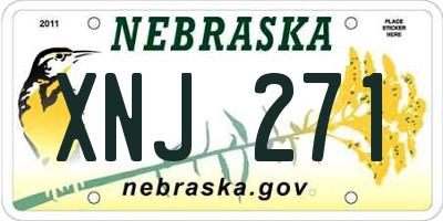 NE license plate XNJ271