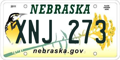NE license plate XNJ273