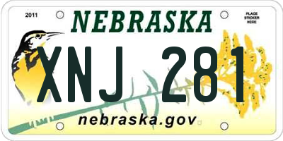 NE license plate XNJ281