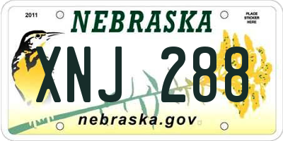 NE license plate XNJ288
