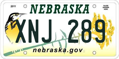 NE license plate XNJ289